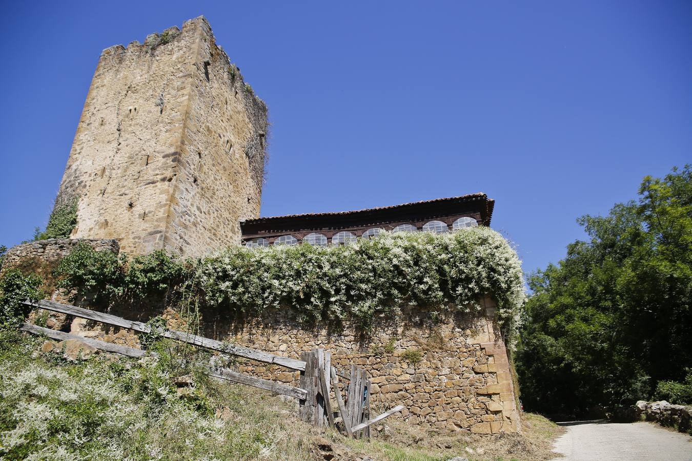 Torre de Mogrovejo. A la drerecha del camino de hormigón se construirá el campo de golf.