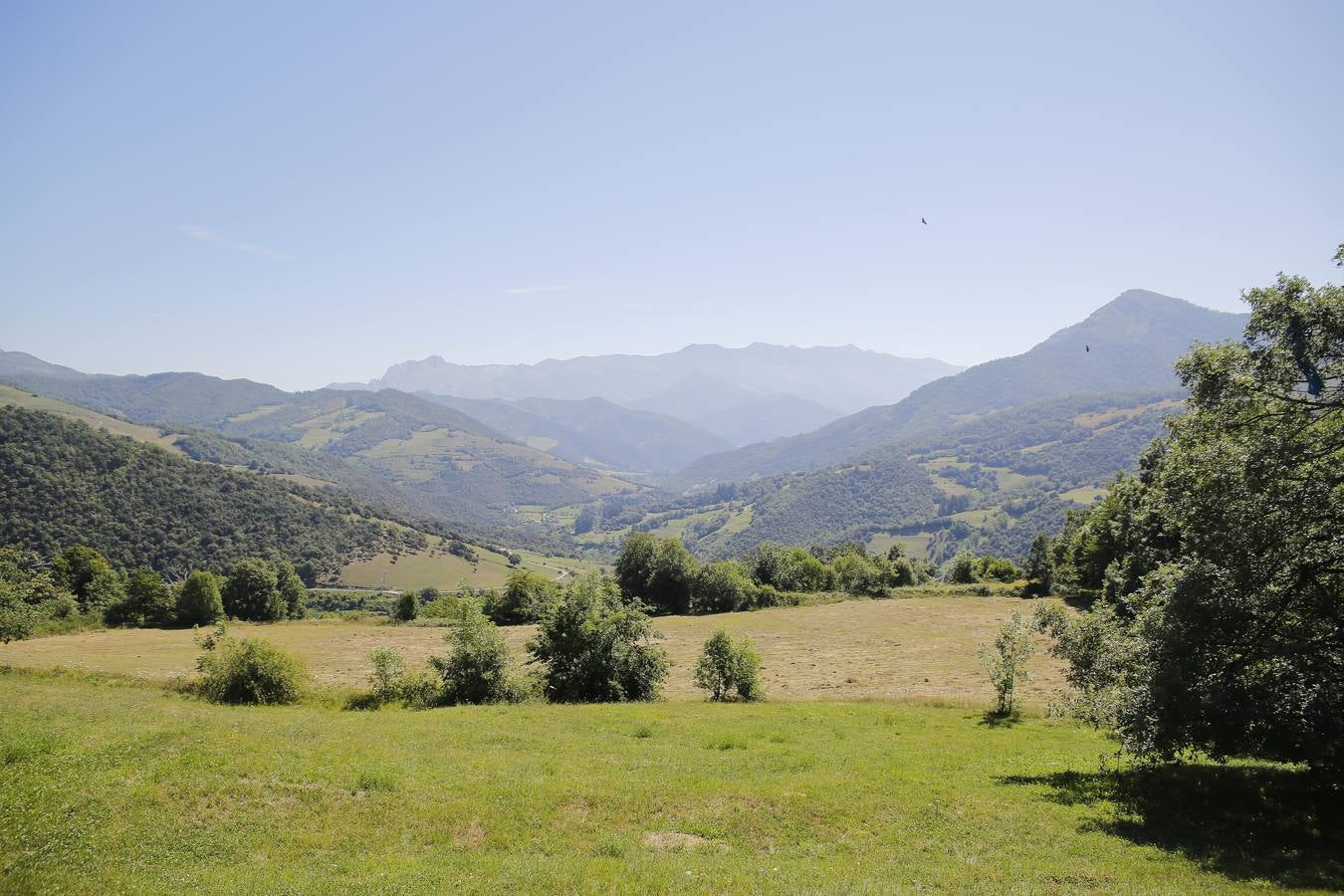 Este es uno de los prados donde se ubicará el campo de golf.