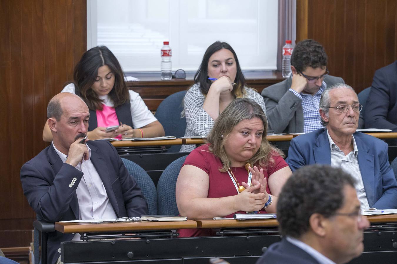 Fotos: Pleno del Ayuntamiento de Santander