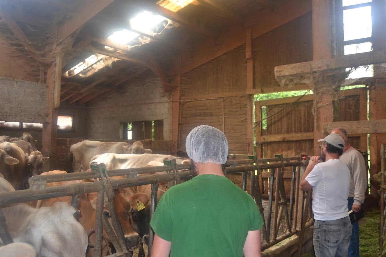 Fotos: El mejor queso de Cantabria de 2019 se elabora en Tresviso