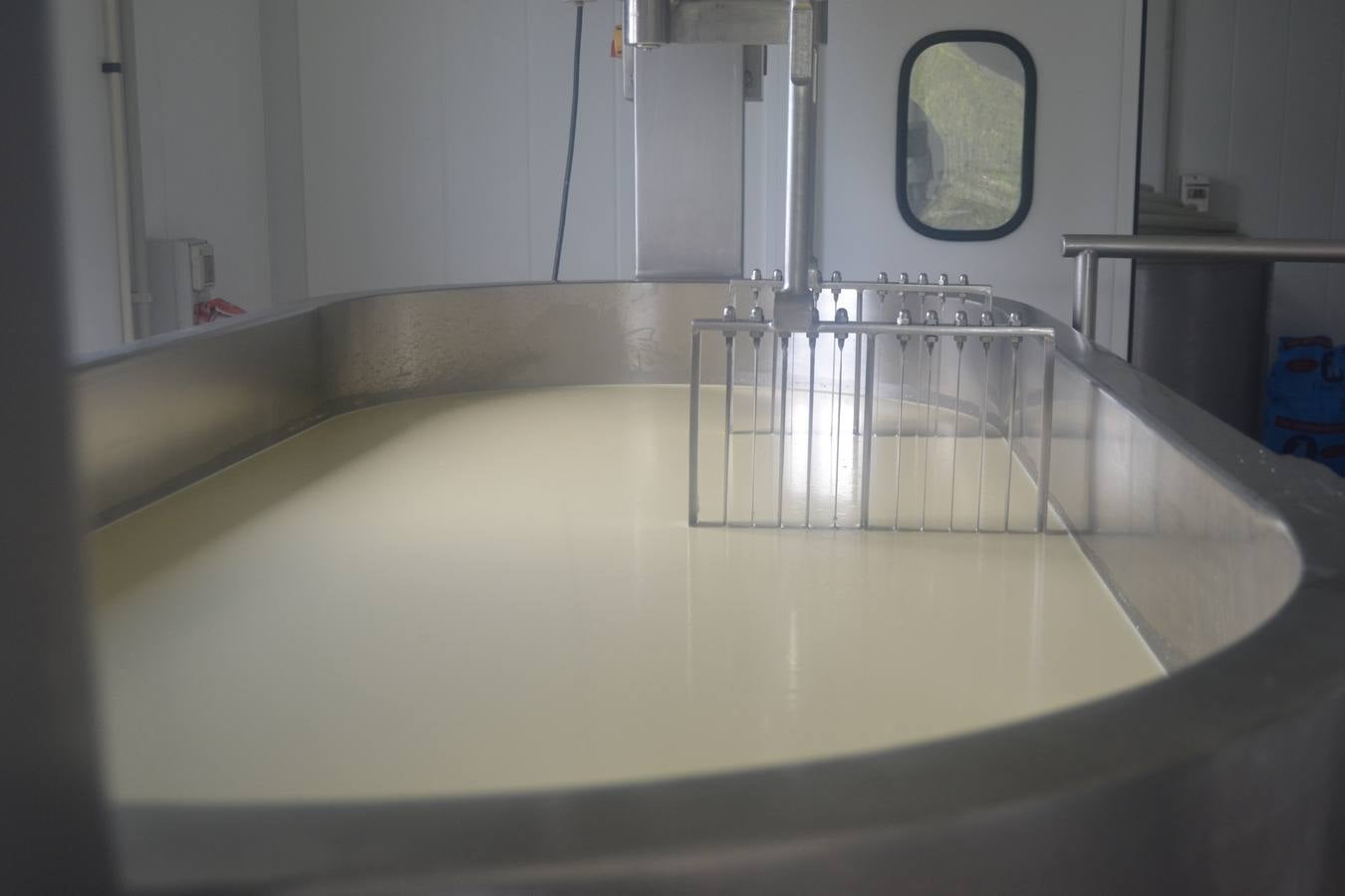 Fotos: El mejor queso de Cantabria de 2019 se elabora en Tresviso