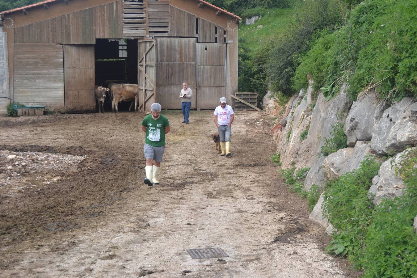 Fotos: El mejor queso de Cantabria de 2019 se elabora en Tresviso