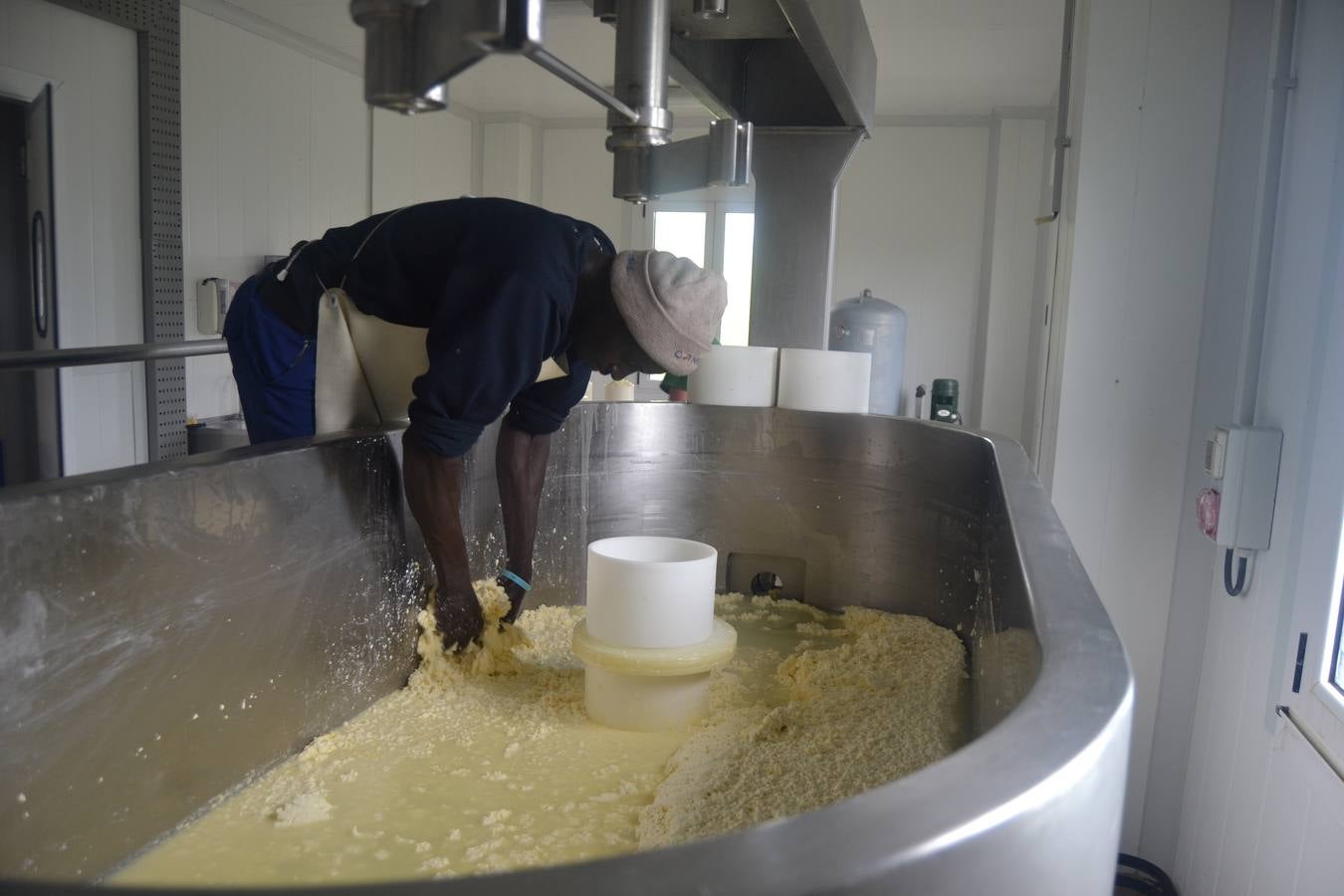 Cada dos días, la cuba de mil litros procesa la leche con la que se elaboran tres formatos diferentes. 