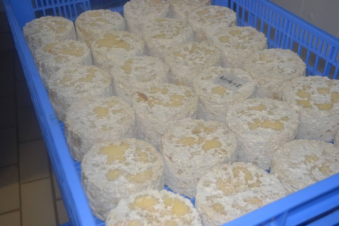 El queso madura entre dos y tres meses antes de salir al mercado. 