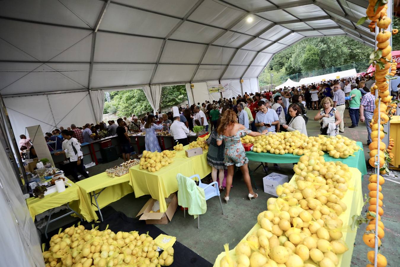 La fiesta de los Limones Solidarios celebra en el pueblo de Alfoz de Lloredo su octava edición