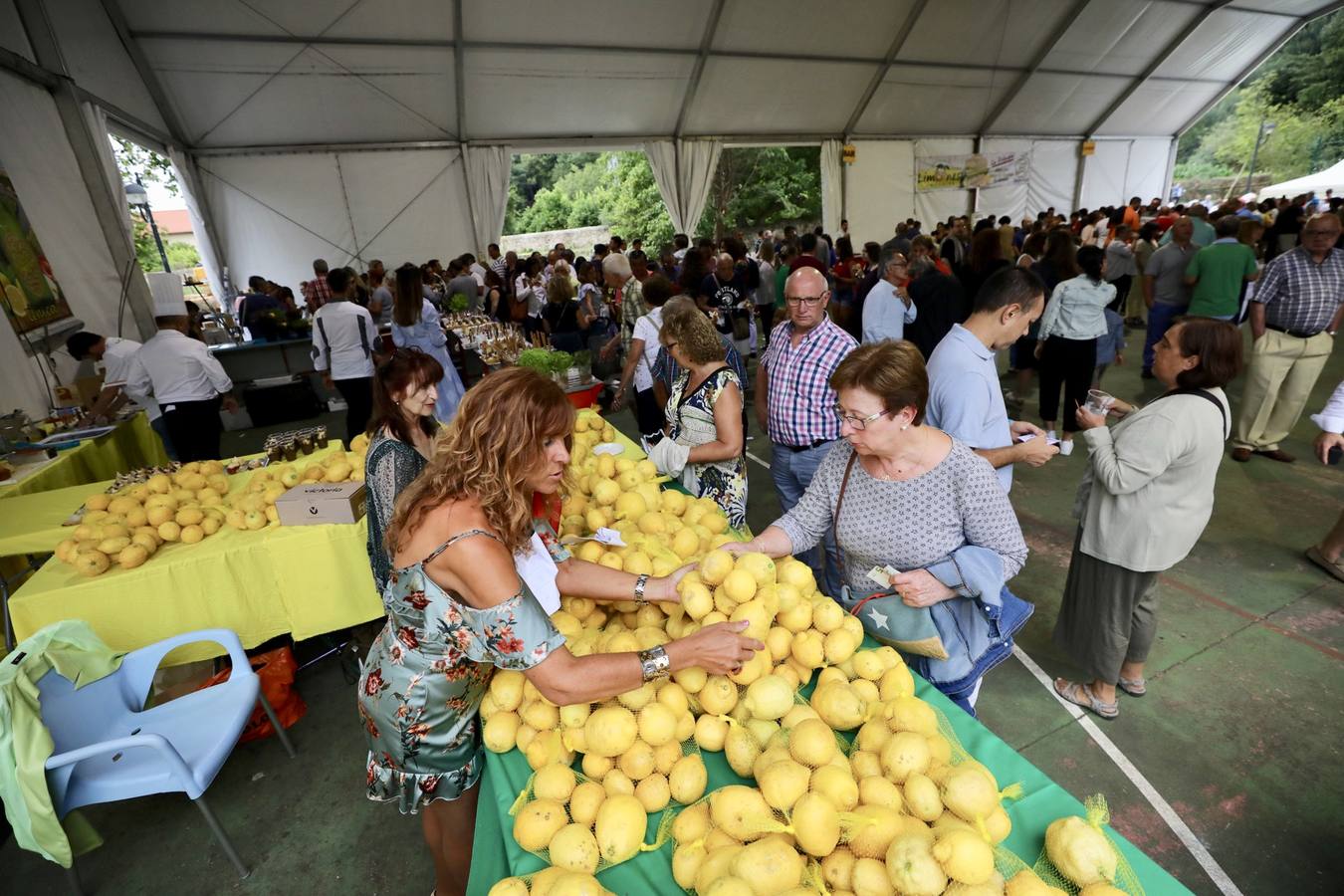 La fiesta de los Limones Solidarios celebra en el pueblo de Alfoz de Lloredo su octava edición