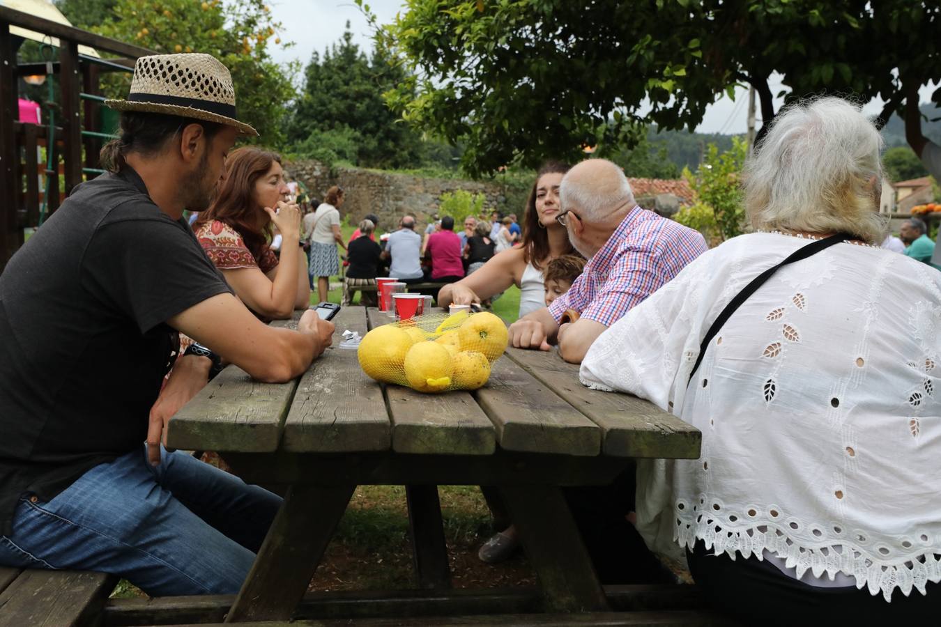 La fiesta de los Limones Solidarios celebra en el pueblo de Alfoz de Lloredo su octava edición