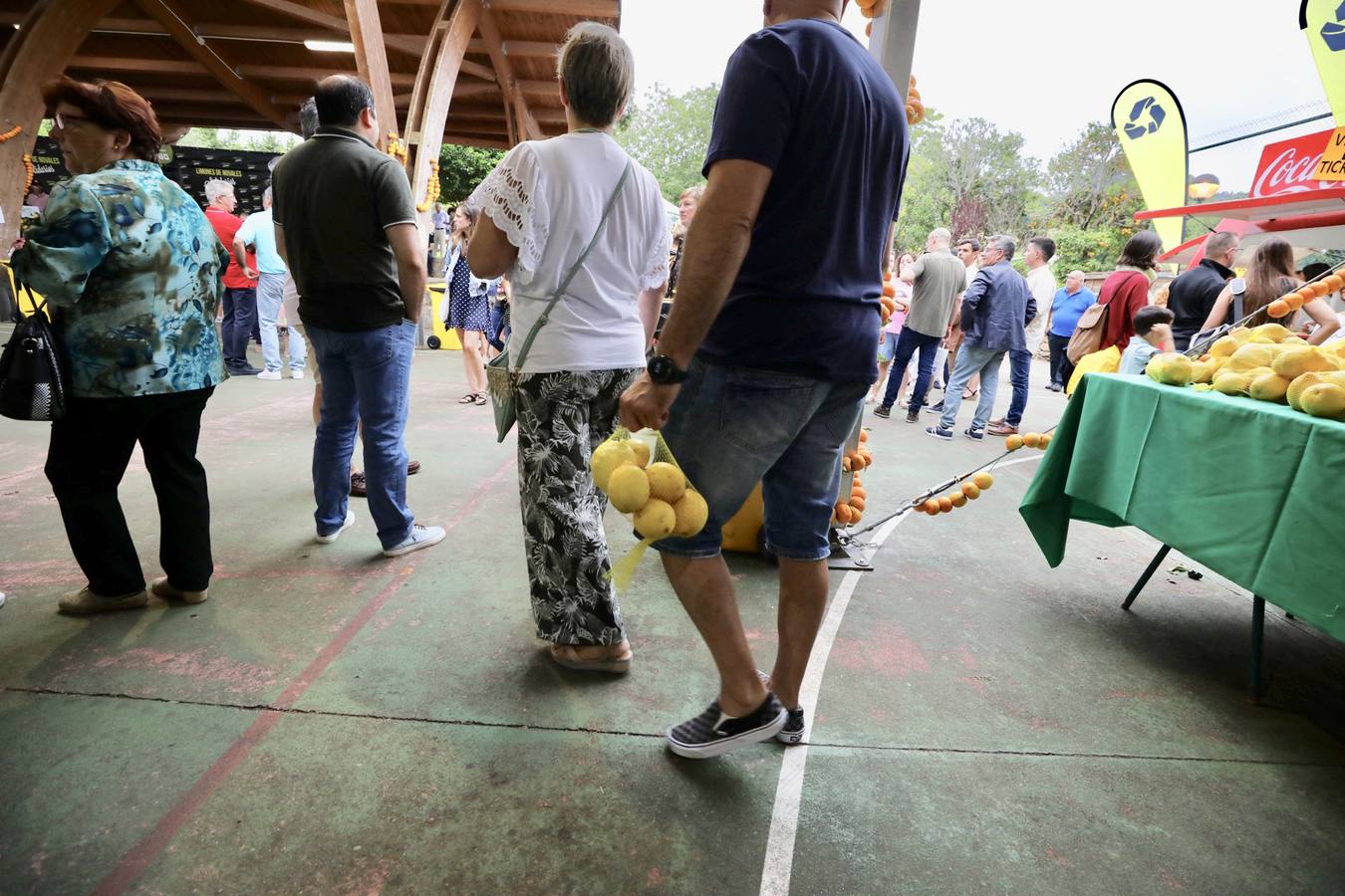 La fiesta de los Limones Solidarios celebra en el pueblo de Alfoz de Lloredo su octava edición