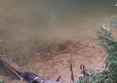 Imagen secundaria 1 - Entrambasaguas, en alerta por vertidos contaminantes de abono en el río Aguanaz