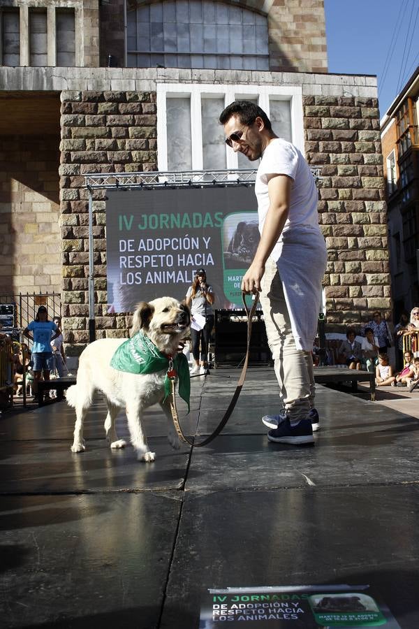 Fotos: De día y de noche, la fiesta no para en Torrelavega