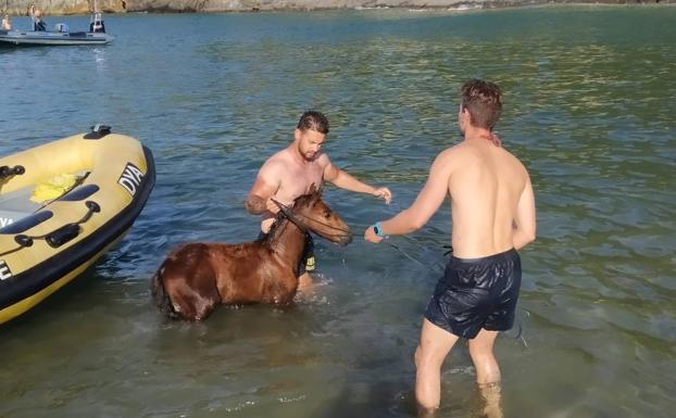 Imágenes del rescate del potro, ayer por la tarde en Saltacaballo.