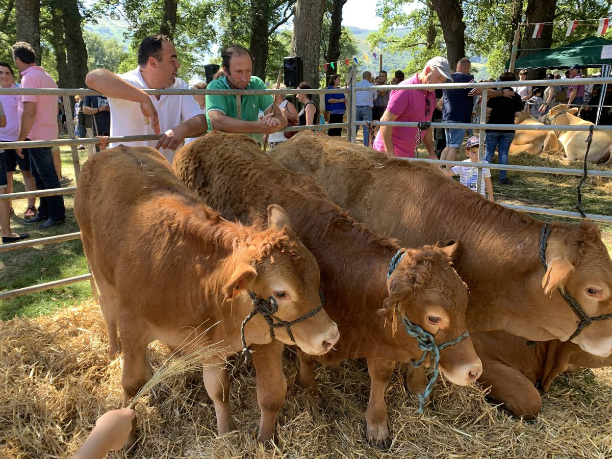 Fotos: Todos a La Gándara por el Día de Soba