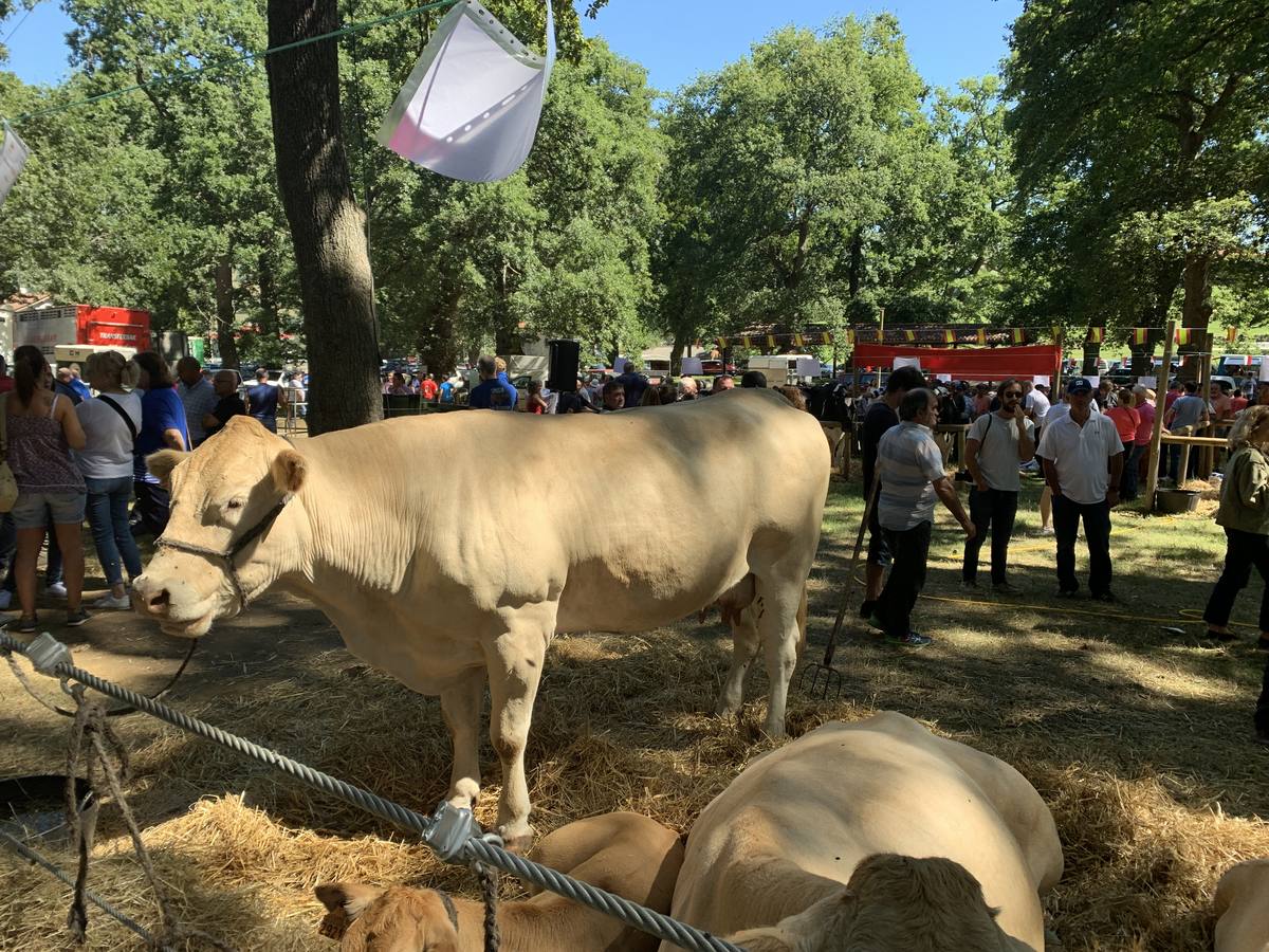 Fotos: Todos a La Gándara por el Día de Soba