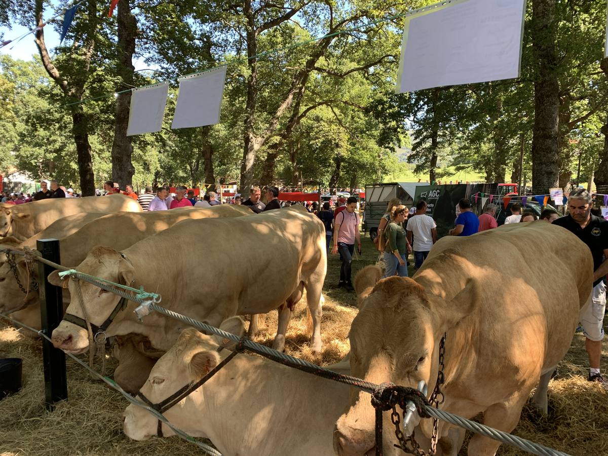Fotos: Todos a La Gándara por el Día de Soba