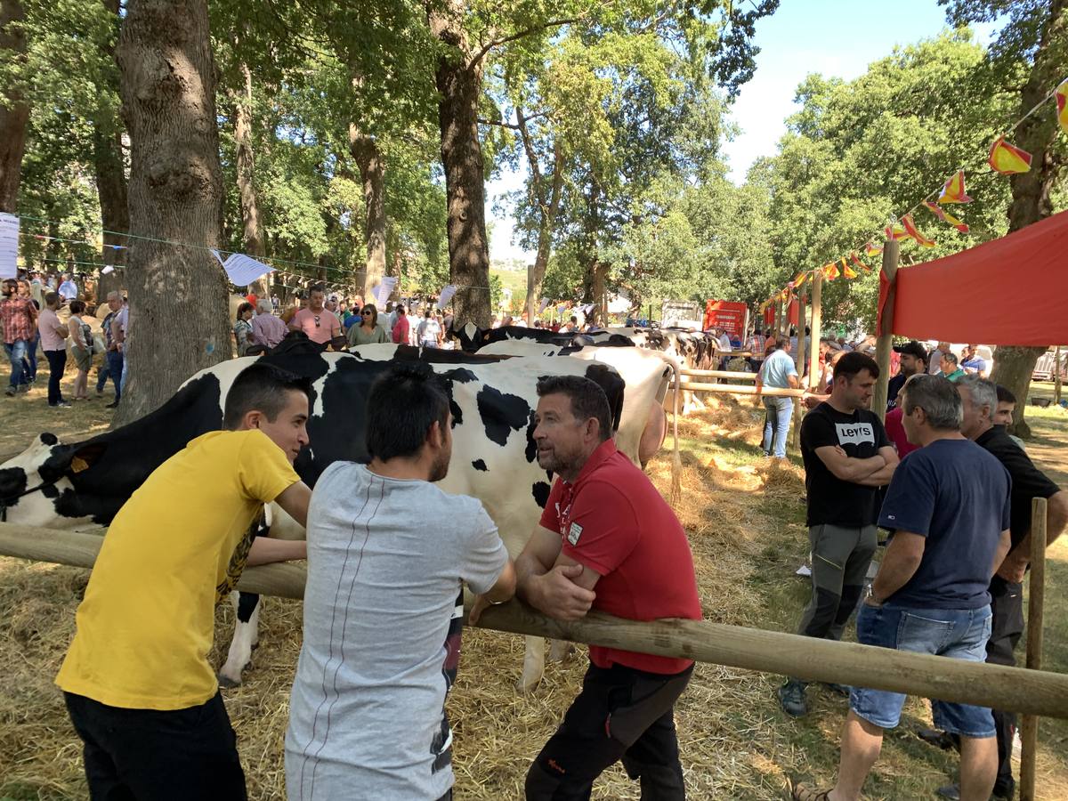Fotos: Todos a La Gándara por el Día de Soba