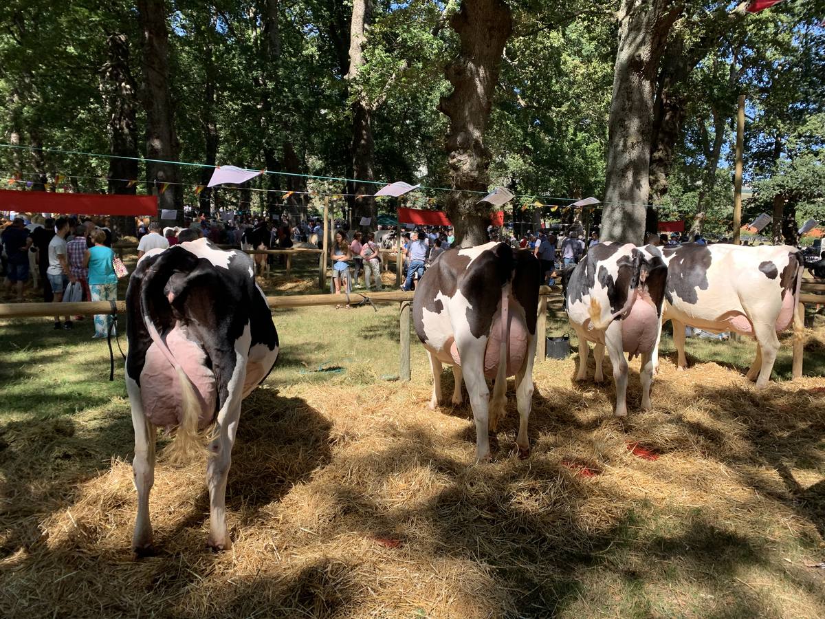 Fotos: Todos a La Gándara por el Día de Soba
