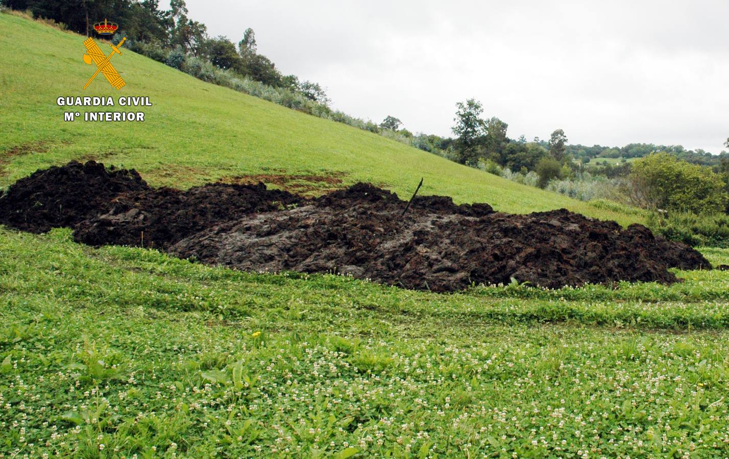 Acumulación de estiercol en la finca del ganadero investigado.