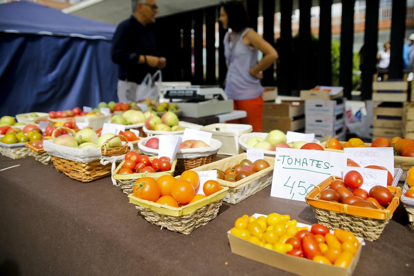 Fotos: Una vuelta por la Feria del Tomate de Bezana