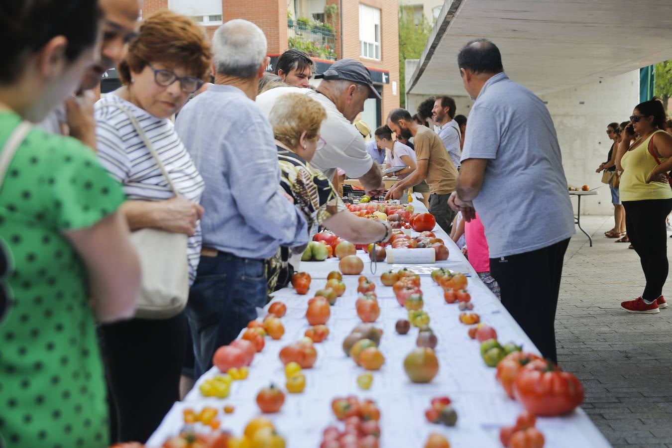 Fotos: Una vuelta por la Feria del Tomate de Bezana