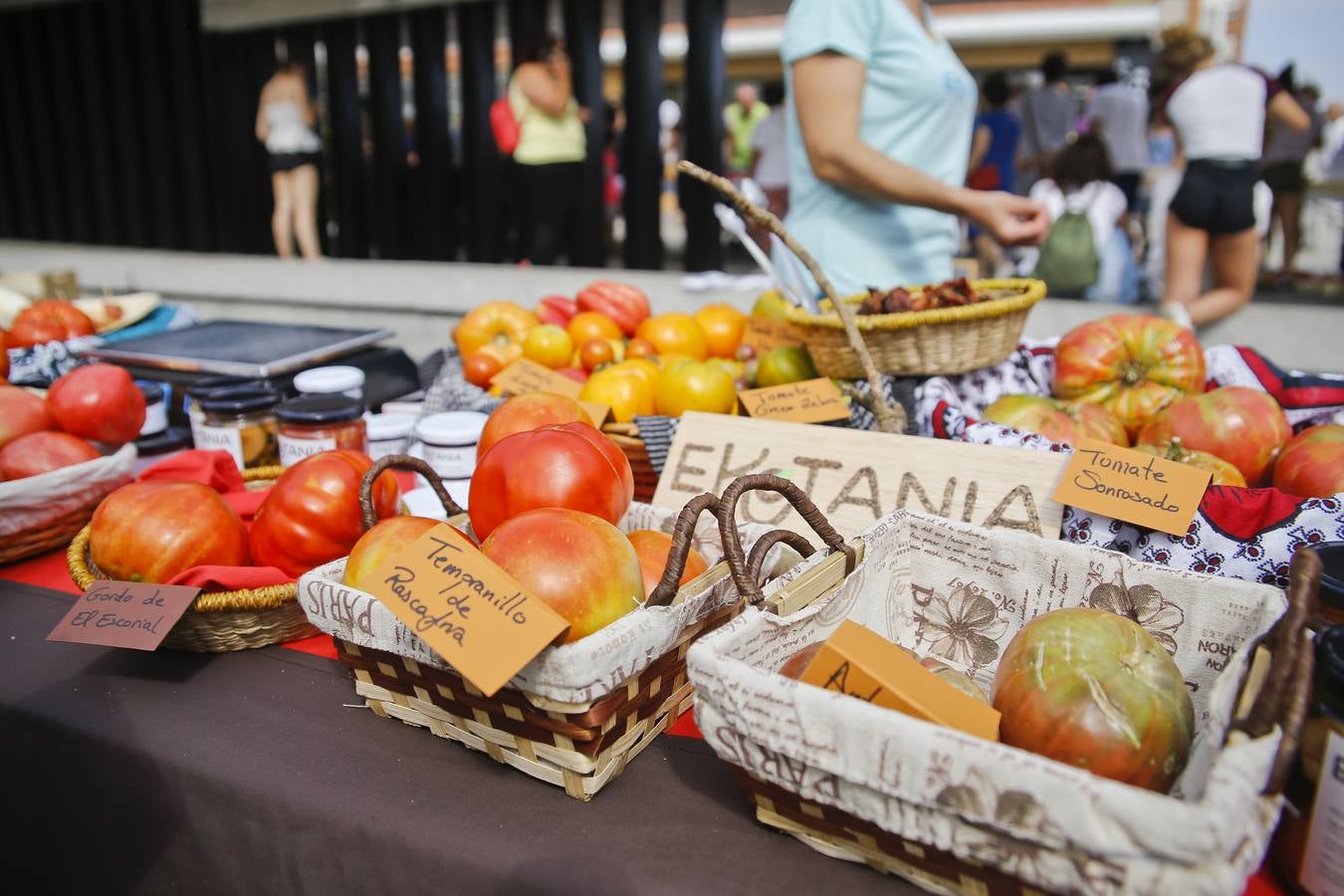 Fotos: Una vuelta por la Feria del Tomate de Bezana