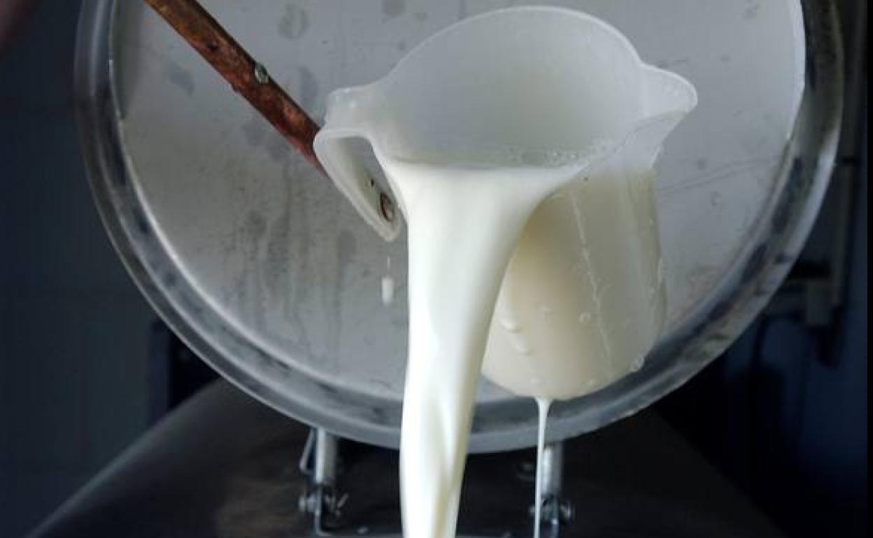 Blanco pide no comprar leche a pérdidas al no favorecer a nadie en Cantabria