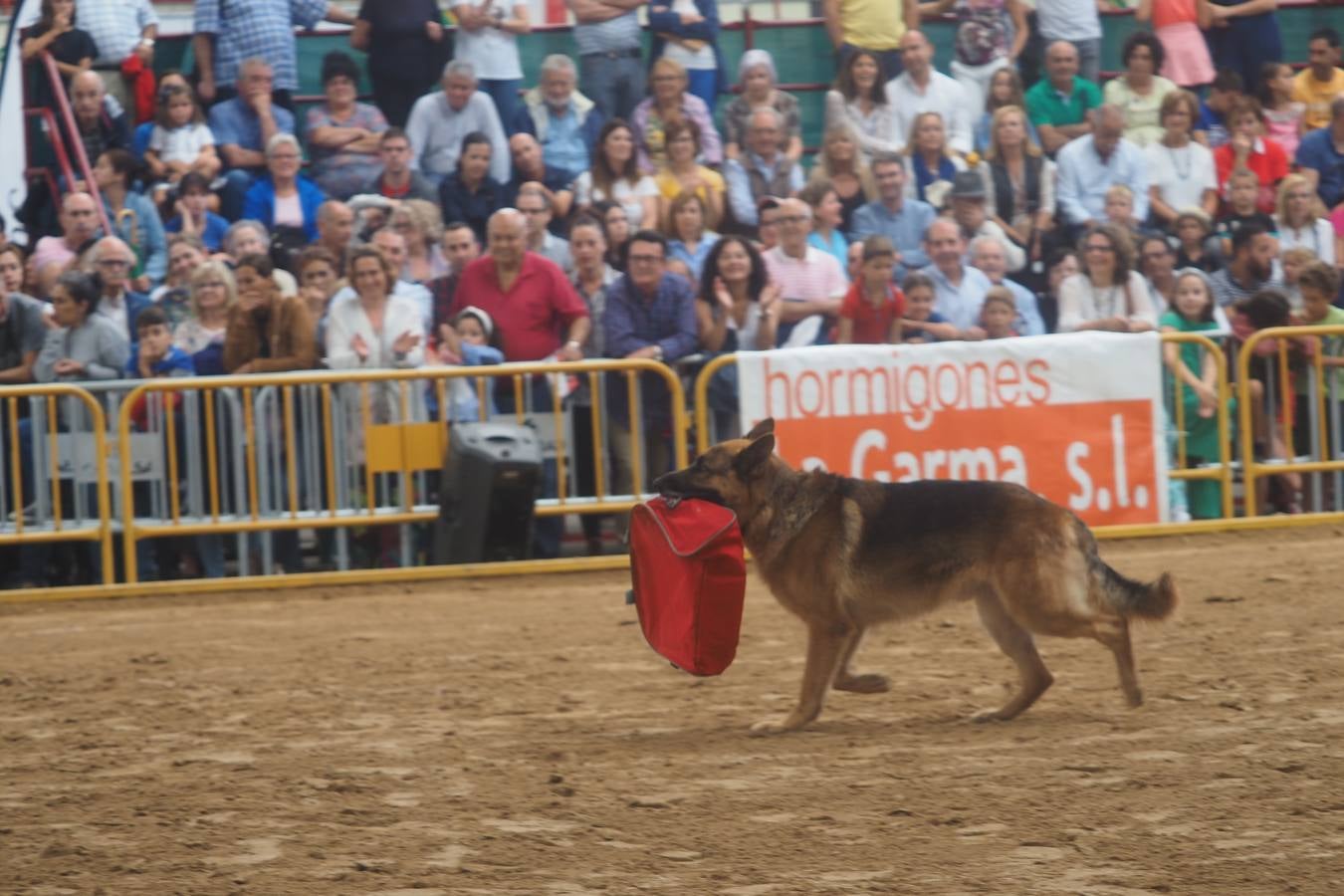 El público abarrotó las gradas para presenciar el concurso de pura raza española