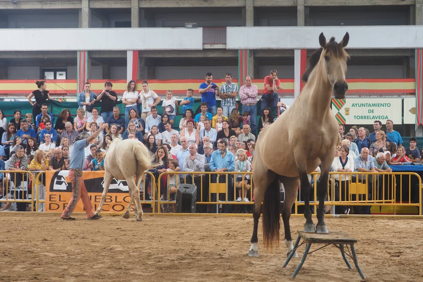 El público abarrotó las gradas para presenciar el concurso de pura raza española