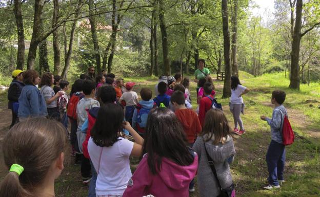 Una de las excursiones didácticas que organiza la Fundación. 