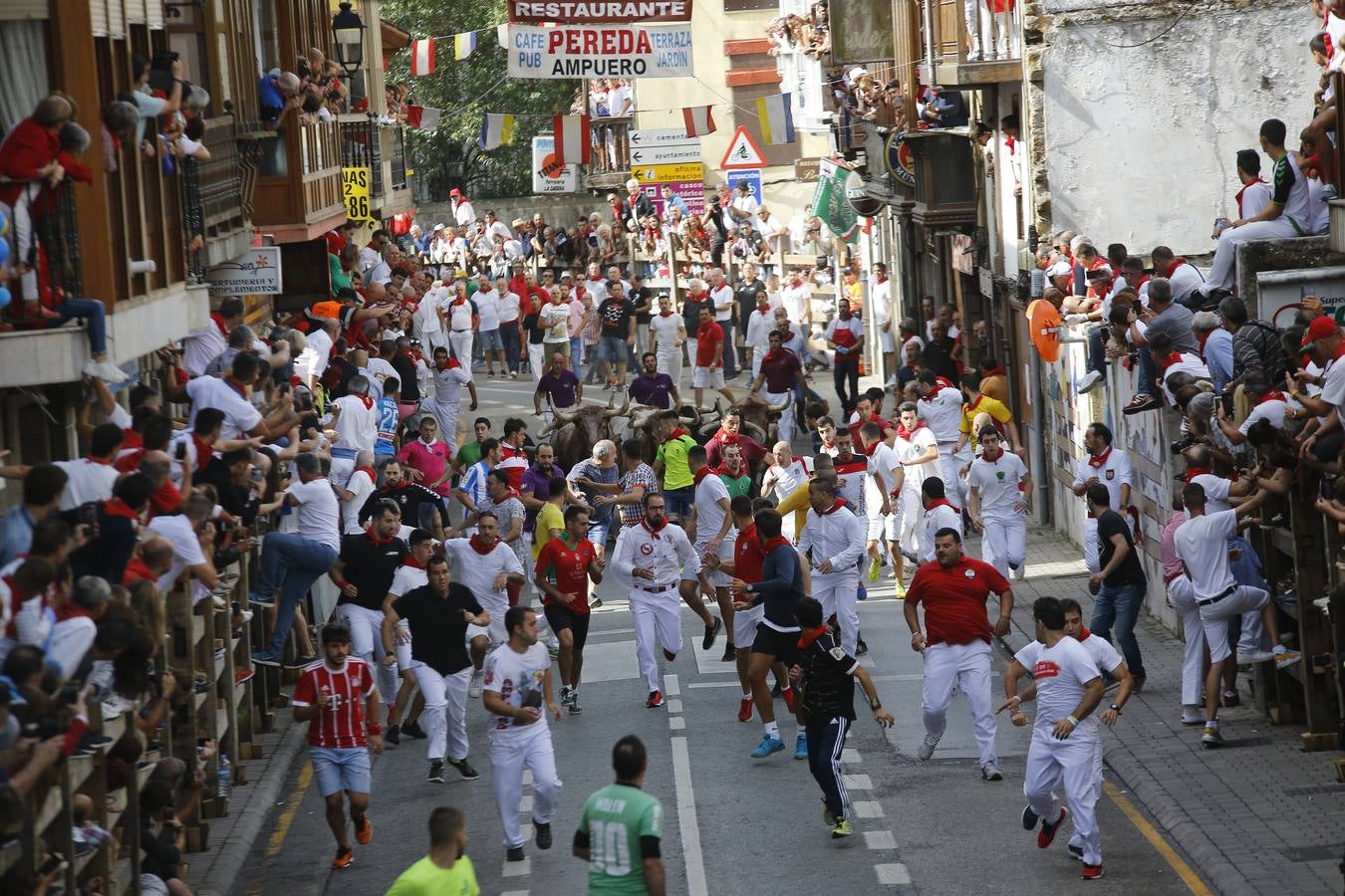 La localidad cántabra ha celebrado un segundo y multitudinario encierro que ha dejado tres contusionados leves.