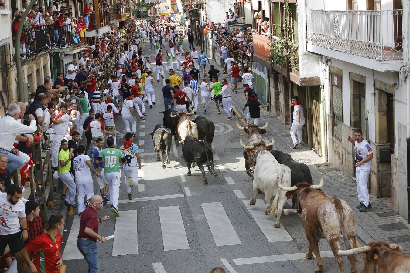 La localidad cántabra ha celebrado un segundo y multitudinario encierro que ha dejado tres contusionados leves.