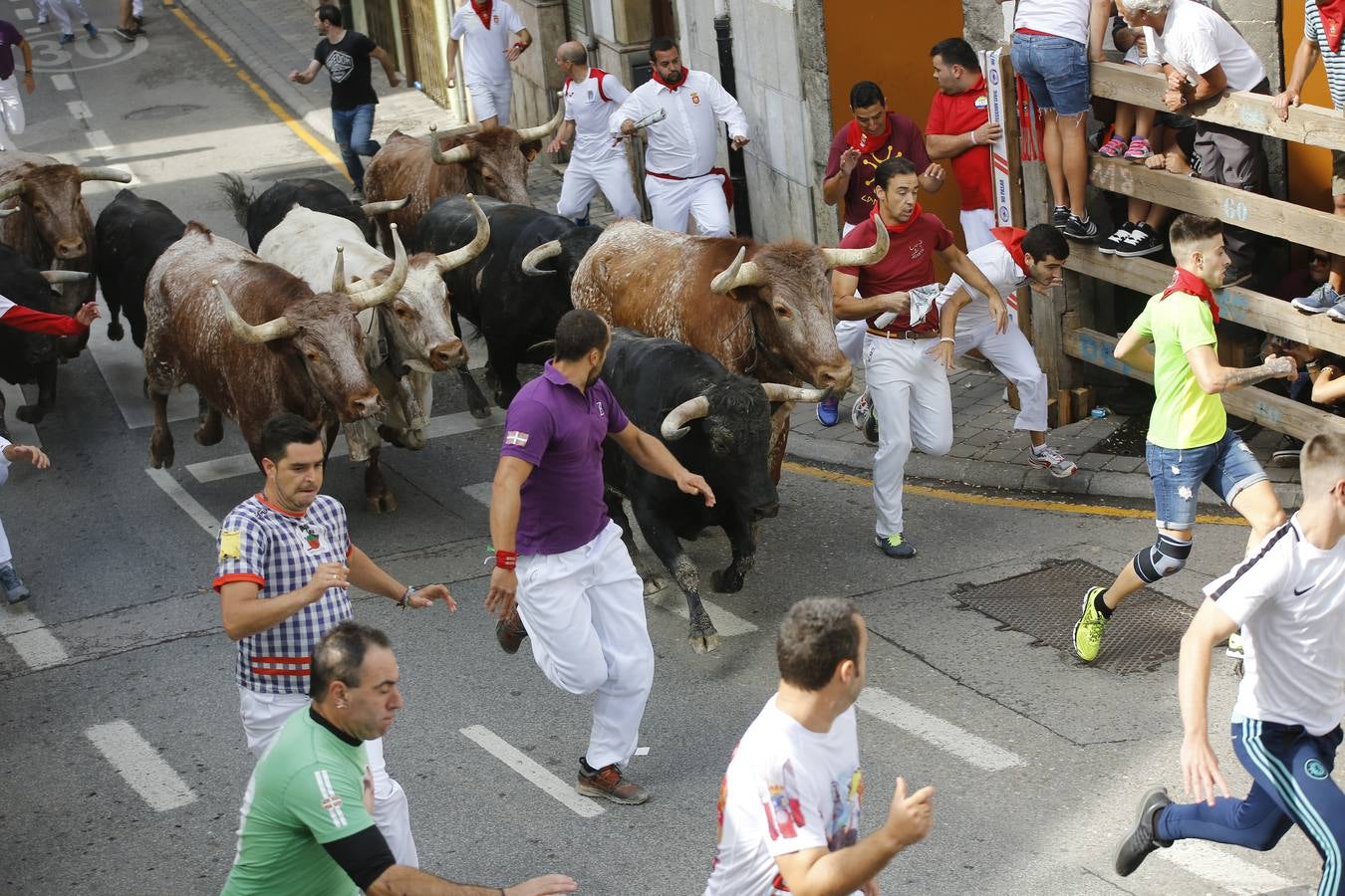 La localidad cántabra ha celebrado un segundo y multitudinario encierro que ha dejado tres contusionados leves.