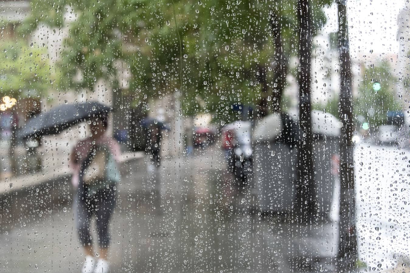 La gota fría que recorre el norte de la península ha dejado hasta este mediodía una precipitación acumulada de hasta 53 litros por metro cuadrado en puntos de Cantabria como Fuente Dé, la máxima de la comunidad. Llueve con gran intensidad en toda la región. En las imágenes, las calles del centro de Santander, complicadas de recorrer caminando este martes debido a la lluvia y el viento