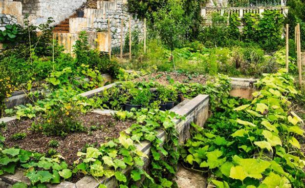 El mejor restaurante del mundo según la lista 50 Best posee un pintoresco huerto en las ruinas de un antiguo jardín sobre un acantilado con vistas a la Costa Azul. Allí Mauro Colagreco y su equipo cultivan verduras, frutas y plantas aromáticas. El menú está inspirado en el paisaje de frontera entre Francia e Italia, a caballo entre los Alpes y el Mediterráneo.