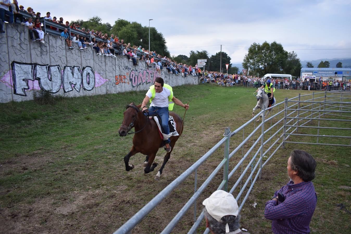 Fotos: Carreras de caballos y burros en Molledo