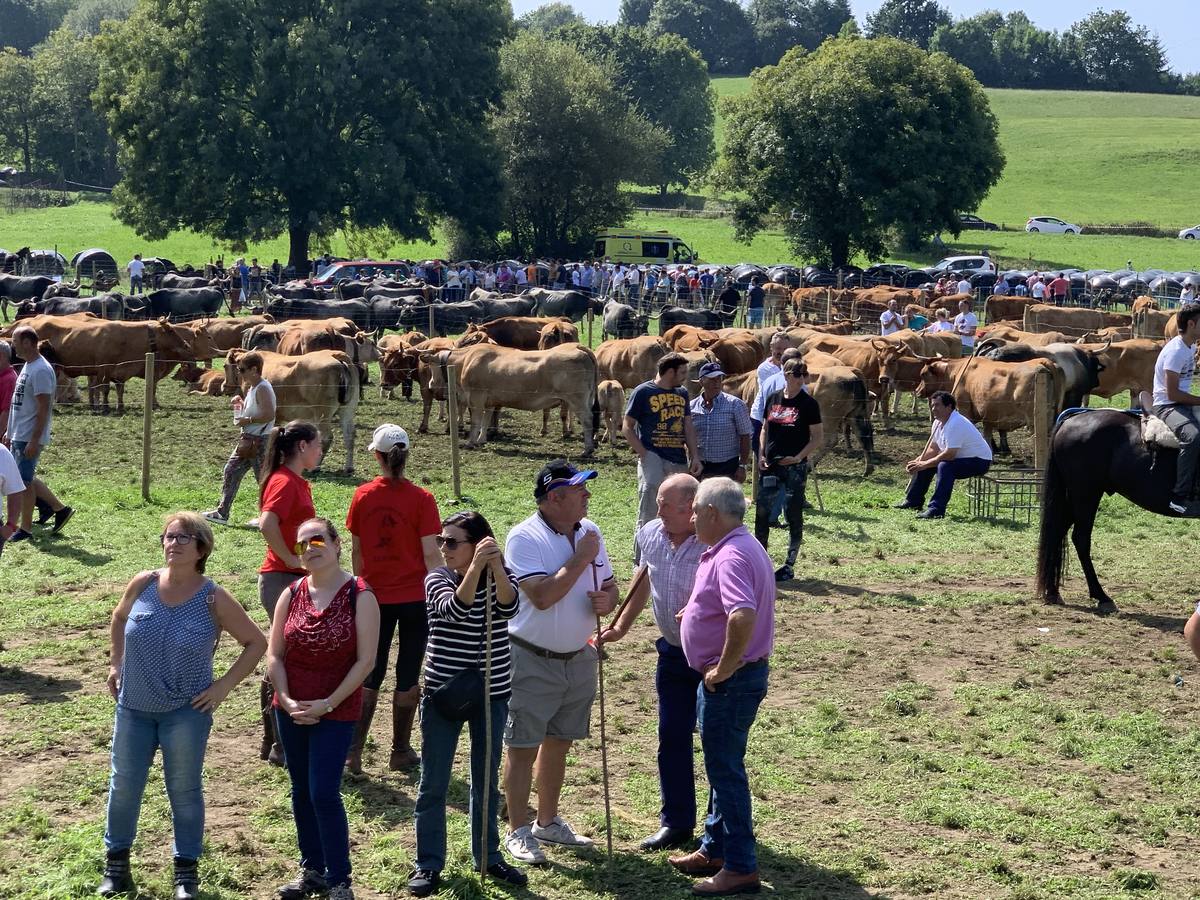 Fotos: Feria ganadera de Liérganes