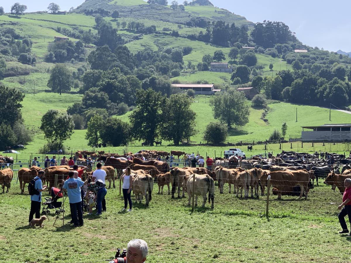 Fotos: Feria ganadera de Liérganes