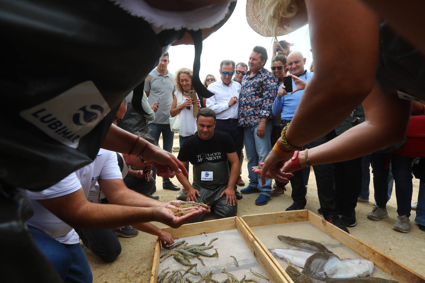 Despesques 2019 ha reunido en los esteros de Lubimar, en Barbate, a más de ochenta cocineros de primer nivel, tanto de España como del extranjero