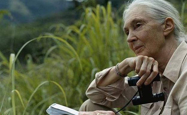 Jane Goodall da voz a la campaña por el planeta de Los40