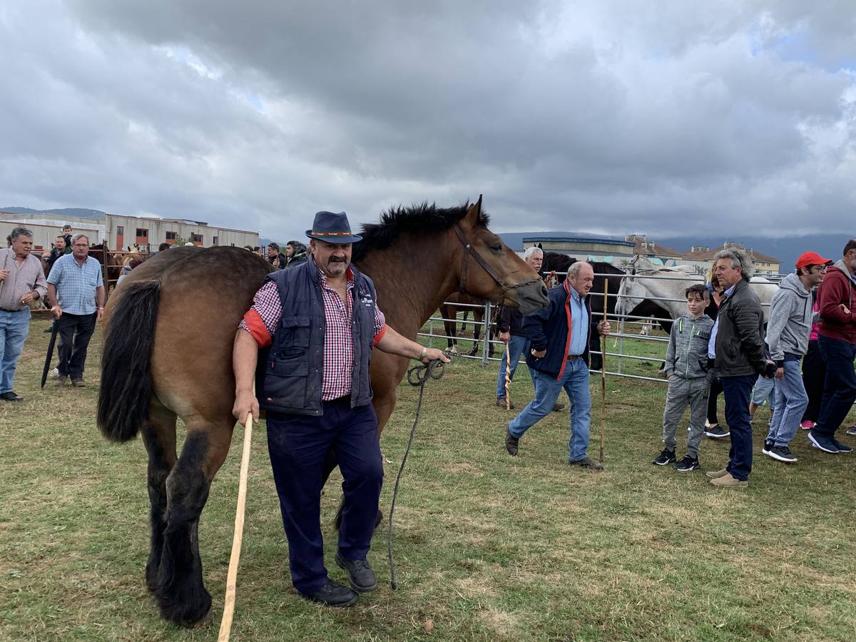 Fotos: Cientos de personas se dan cita en la Feria de San mateo en Reinosa