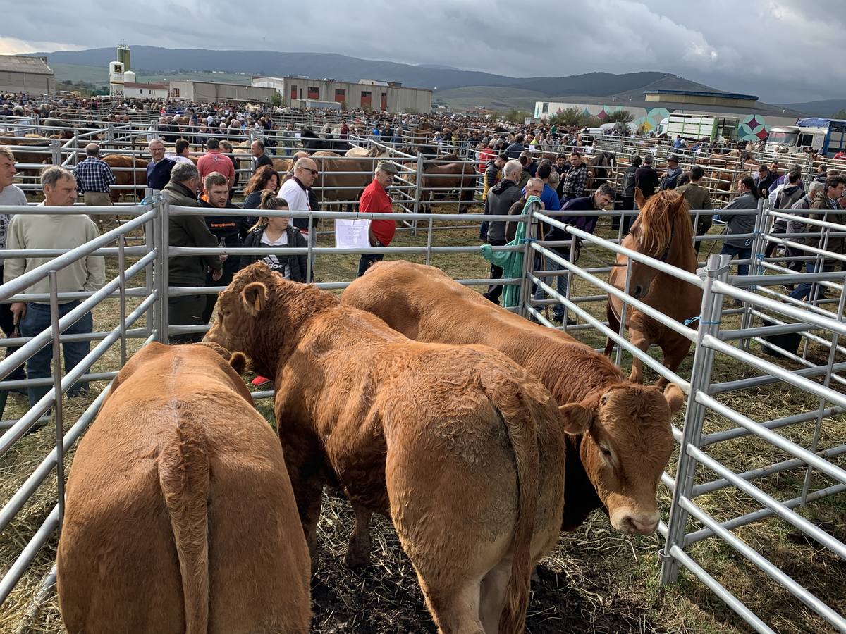 Fotos: Cientos de personas se dan cita en la Feria de San mateo en Reinosa