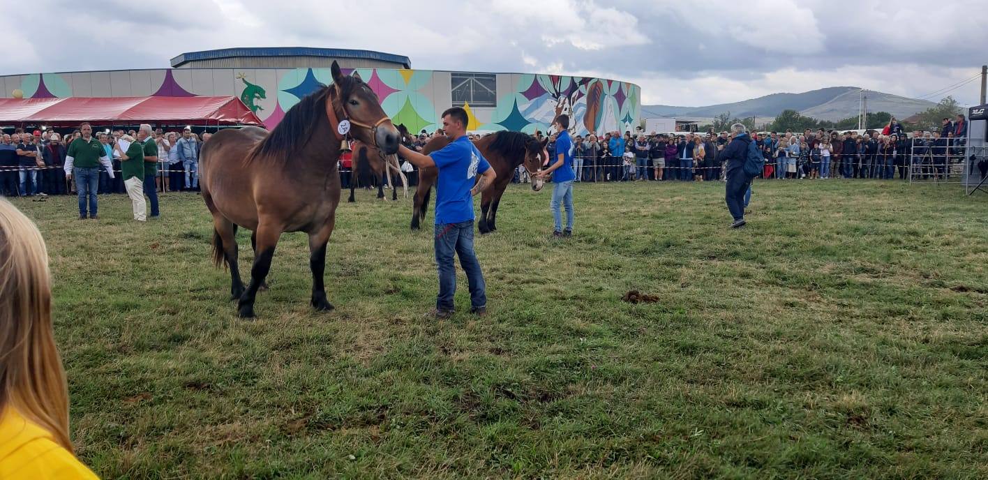 Fotos: Cientos de personas se dan cita en la Feria de San mateo en Reinosa