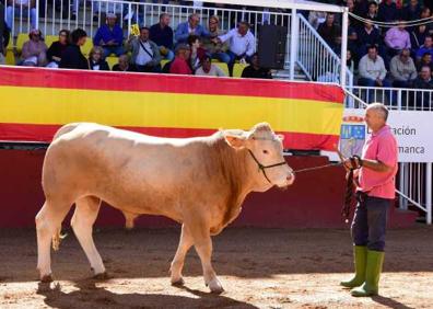 Imagen secundaria 1 - Nueve ganaderías cántabras han sido premiadas en la prestigiosa feria Salamaq 2019