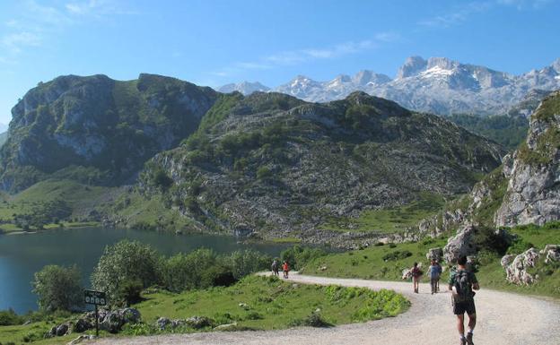 Imagen de uno de los parajes que pueden observarse durante esta ruta.