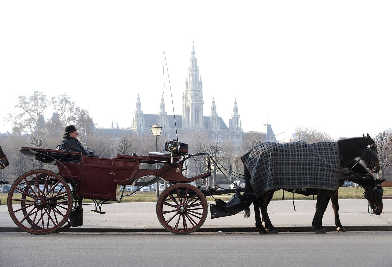 Fotos: Viena, la ciudad imperial