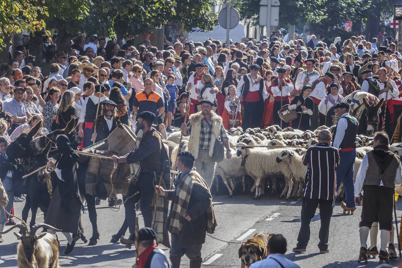 Fotos: Quince carretas y diez agrupaciones folclóricas participarán hoy en el Día de Campoo