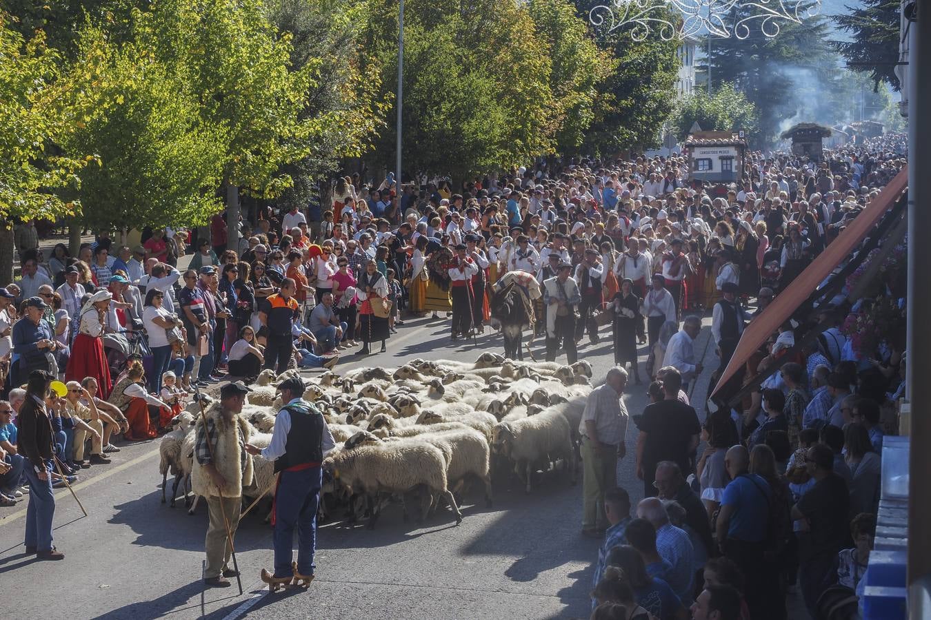 Fotos: Quince carretas y diez agrupaciones folclóricas participarán hoy en el Día de Campoo