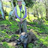 Lin Casar, de la cuadrilla 43, con el jabalí que abatió en La Miña.