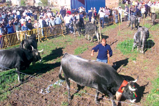 Imagen secundaria 1 - Poblado minero de La Florida. Feria de ganado, en Valdáliga. Horno de galerna de la Plaza del Monte, en el yacimiento minero de La Florida 