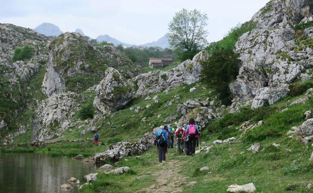 Fotos: Ruta circular de baja dificultad por los Lagos de Covadonga