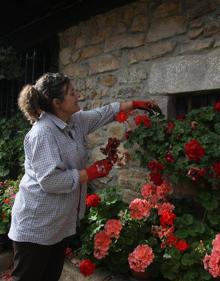 Imagen secundaria 2 - Barriopalacio de Anievas, Pueblo de Cantabria 2019